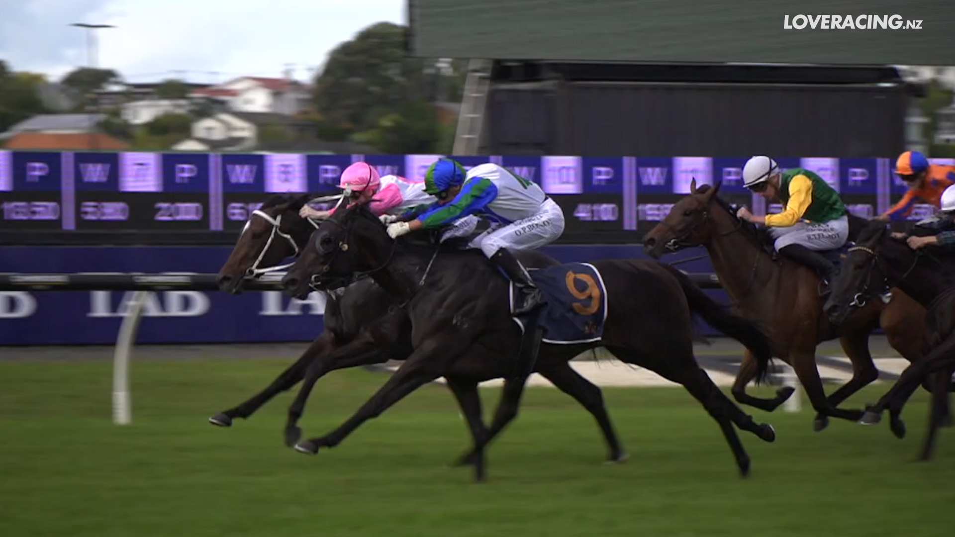 Gr.3 Mufhasa Stakes winner Certainly